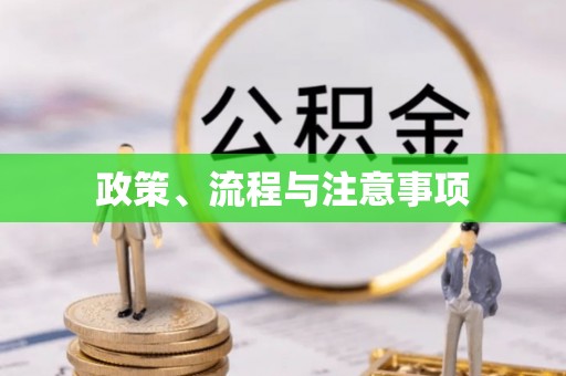 阳高政策、流程与注意事项