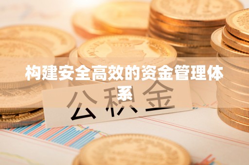 阳高构建安全高效的资金管理体系