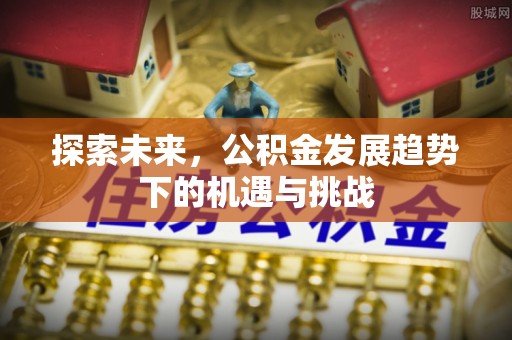 阳高探索未来，公积金发展趋势下的机遇与挑战